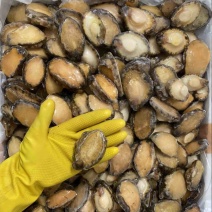 泓振鲍源鲍鱼去壳去内脏鲍鱼生冻鲍鱼纯肉鲜冻全规格