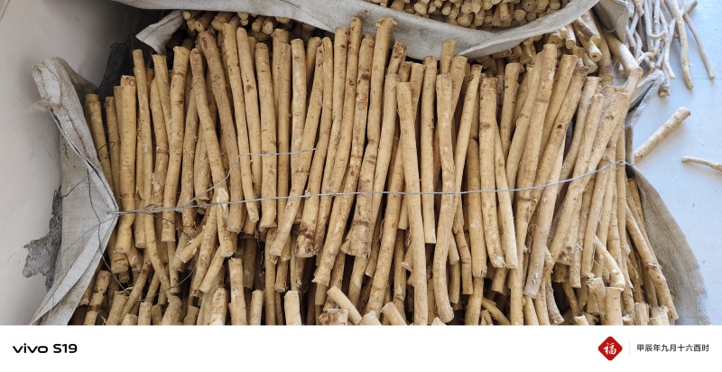 随时可聊自产自销正规货源高质量黄芪