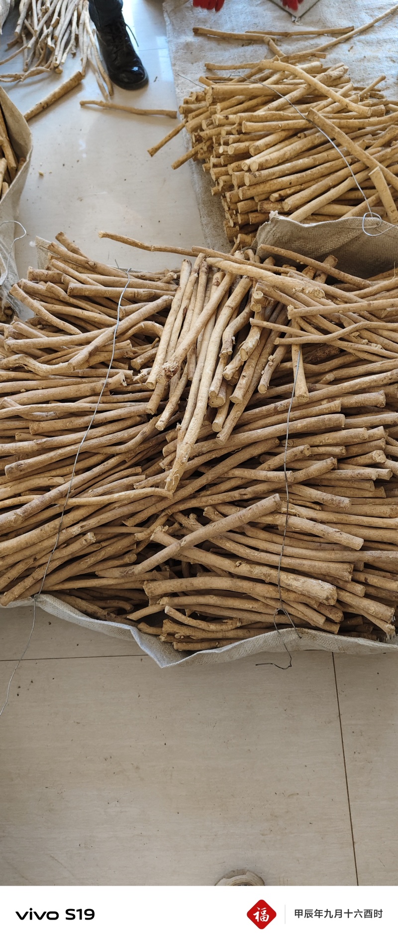 随时可聊自产自销正规货源高质量黄芪