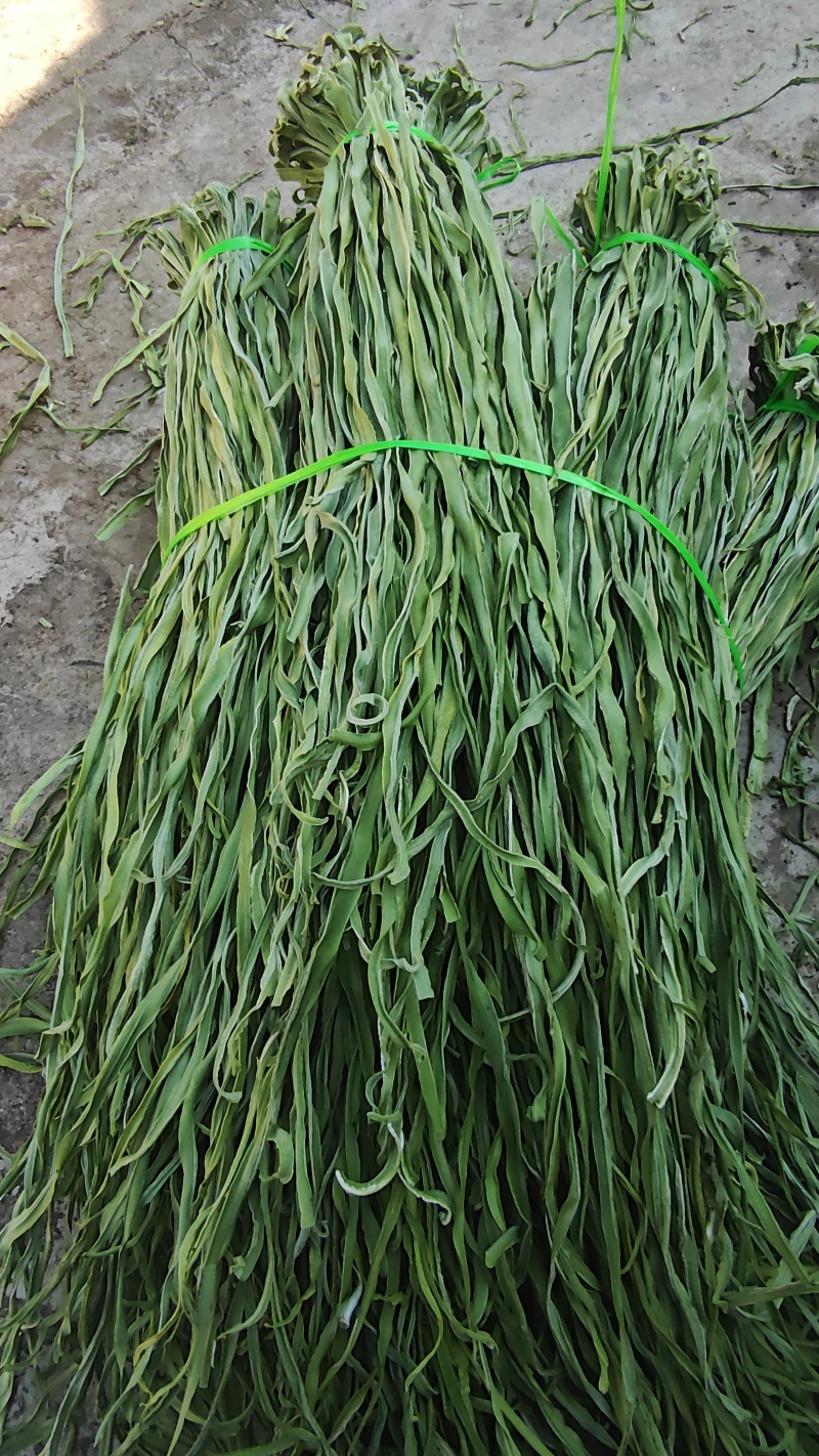 精品优质火锅贡菜产地直供货源充足全国供应欢迎选购。