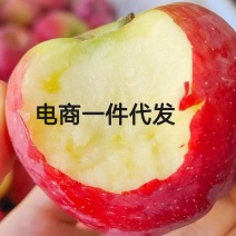 红富士苹果供应链一件代发包邮包售后，有量有价格