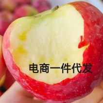 【电商代发】一件代发，红富士苹果包邮，你有量我有价，