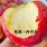 【电商供应链代发】电商一件代发红富士苹果,你有量我有价。