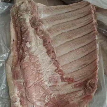 毛肋排