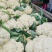 菜花砀山有机松花菜乳白小米粒花菜货源稳定代收代发