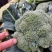 【推荐】河北西蓝花/产地直发/全国发货/欢迎咨询