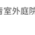 金叶女贞苗绿化苗金森女贞树苗庭院小区园林绿化树苗四季常青