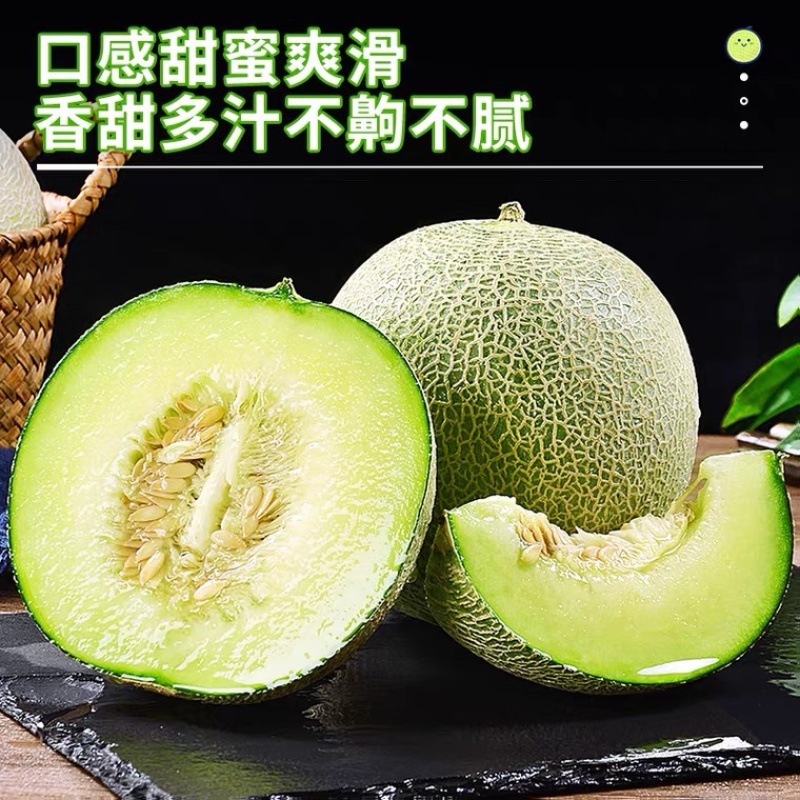 海南东方哈密瓜大量上市基地直供欢迎老板光临品质保证