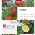 【冰糖心苹果】盐源县精品口感香甜酸度适中欢迎咨询