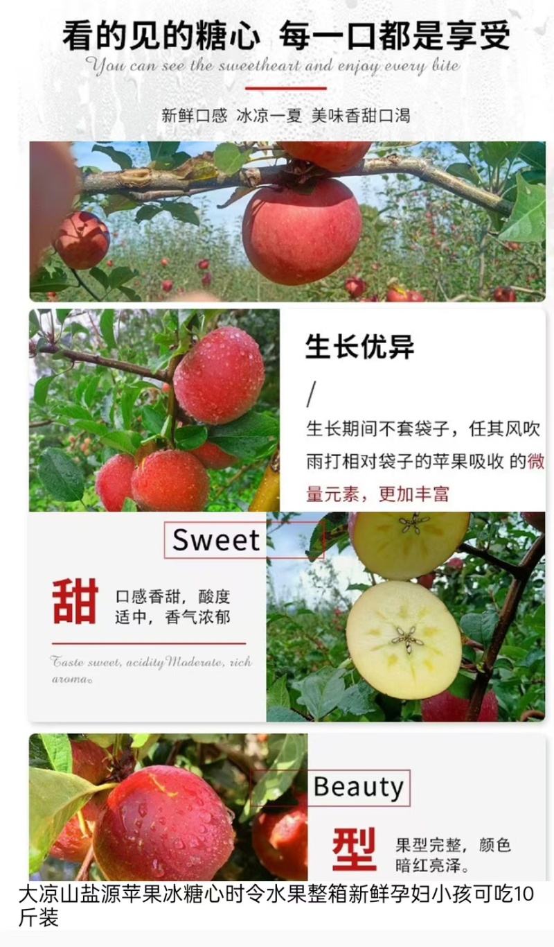 【冰糖心苹果】盐源县精品口感香甜酸度适中欢迎咨询