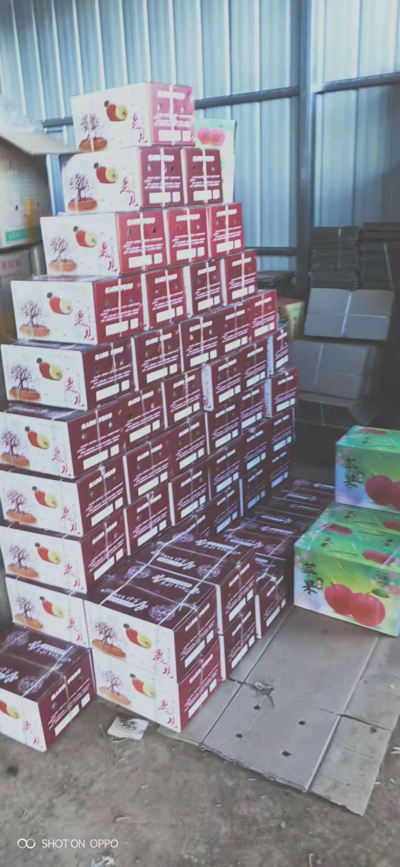【冰糖心苹果】盐源县精品口感香甜酸度适中欢迎咨询