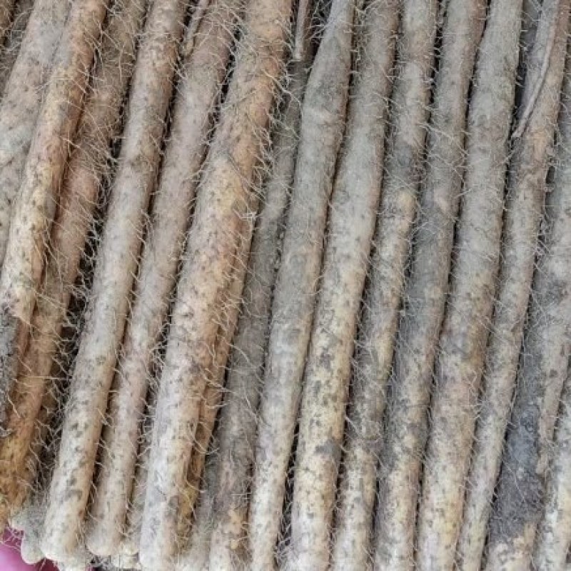【推荐】精品河北双棒山药产地一手货源价格美丽欢迎咨询