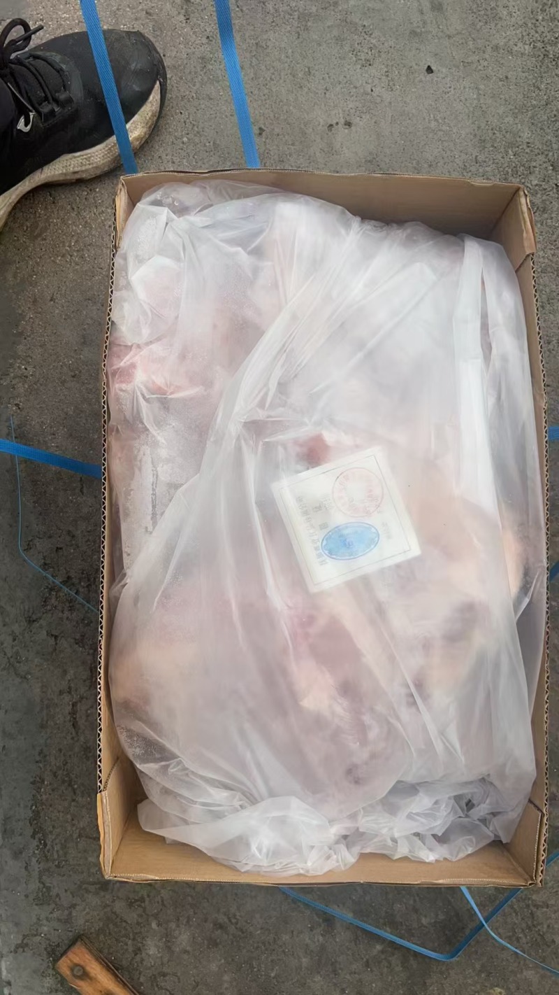 低于市场价出售鑫业母猪前排20吨日期:24年4月