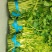 西洋菜，大量长期供应