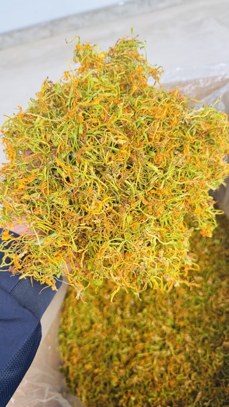 金银花