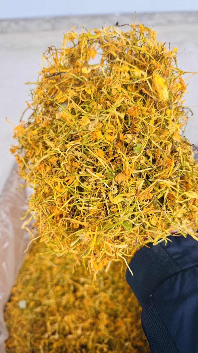 金银花