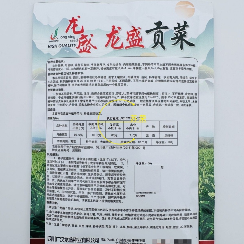 龙盛贡菜种子云南四川皖特色蔬菜绿皮绿肉脆嫩特长贡菜种籽