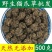包邮）新鲜猫爪草中药正宗干货食用精选正品抓草水洗颗粒野生