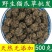 包邮）新鲜猫爪草中药正宗干货食用精选正品抓草水洗颗粒野生