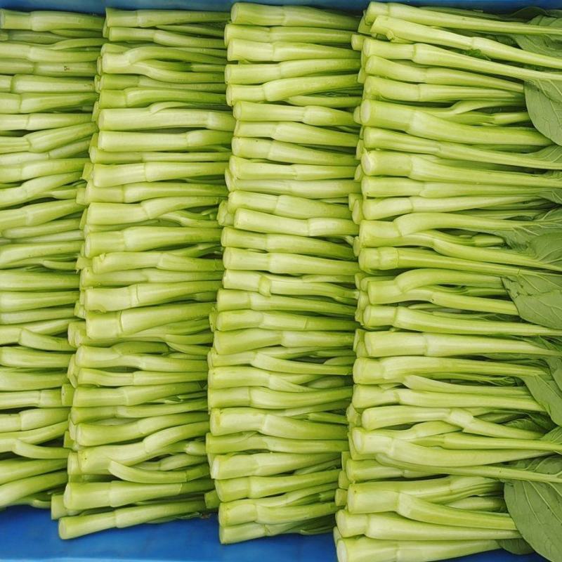 广东菜心