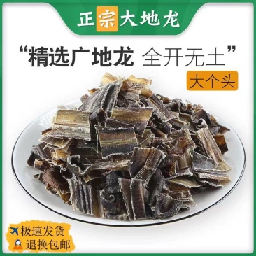 包邮）地龙中药材全正品开干地龙片地龙粉食用广西广地龙蚯蚓