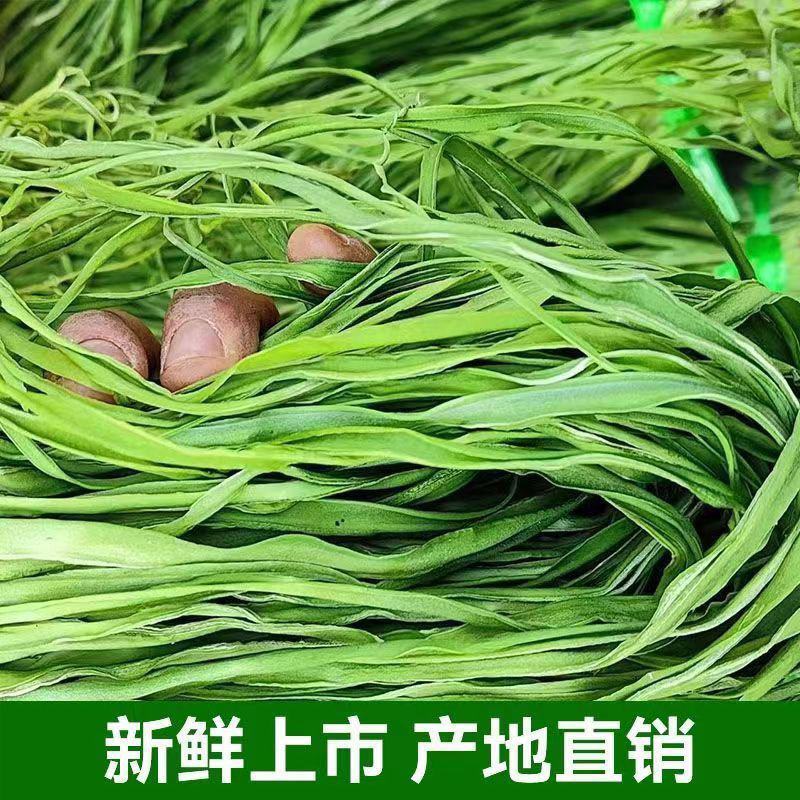 精品贡菜干苔原产地直供云南菜义门菜都有可现场看货视频看货