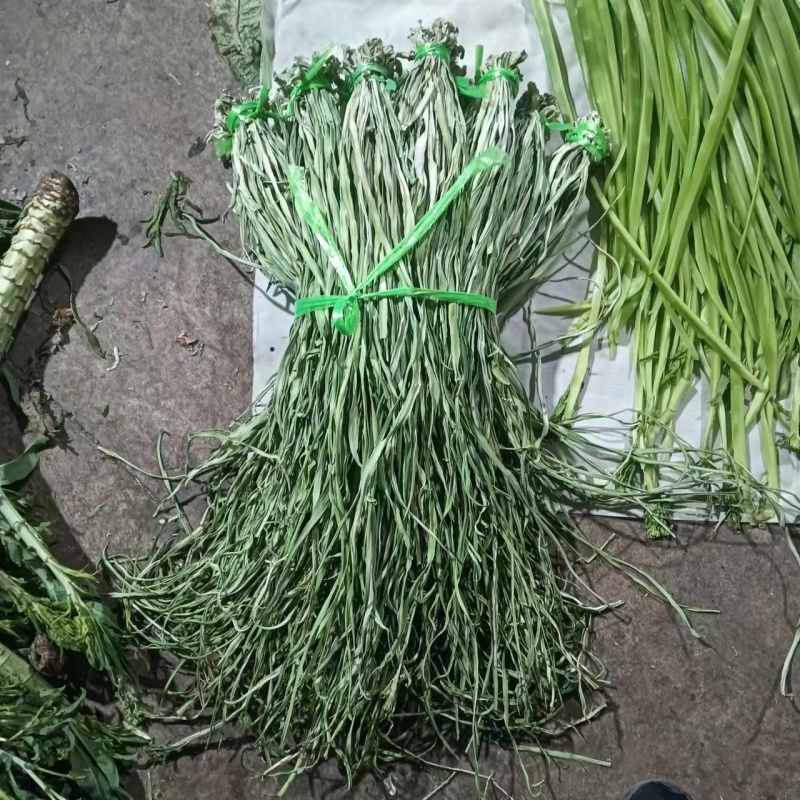 精品贡菜干苔原产地直供云南菜义门菜都有可现场看货视频看货