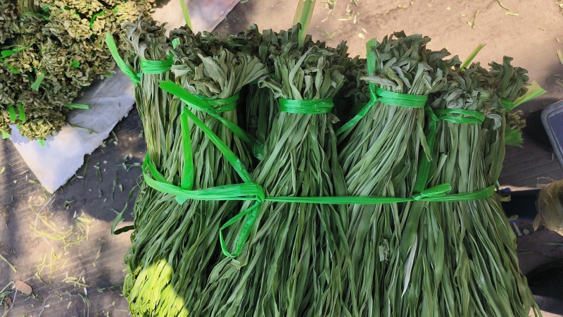 精品贡菜干苔原产地直供云南菜义门菜都有可现场看货视频看货