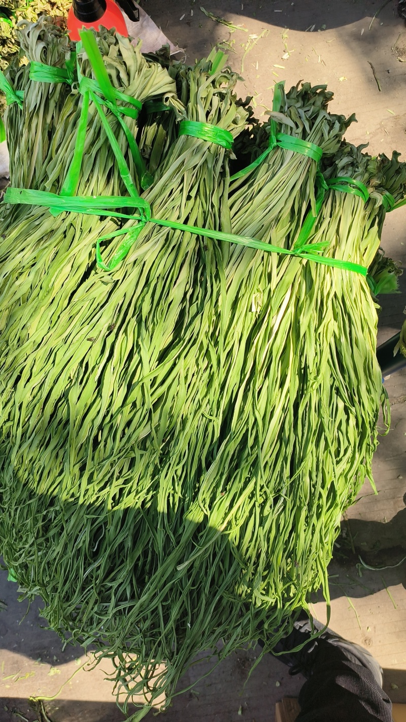 精品贡菜干苔原产地直供云南菜义门菜都有可现场看货视频看货
