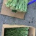 精品贡菜干苔原产地直供云南菜义门菜都有可现场看货视频看货