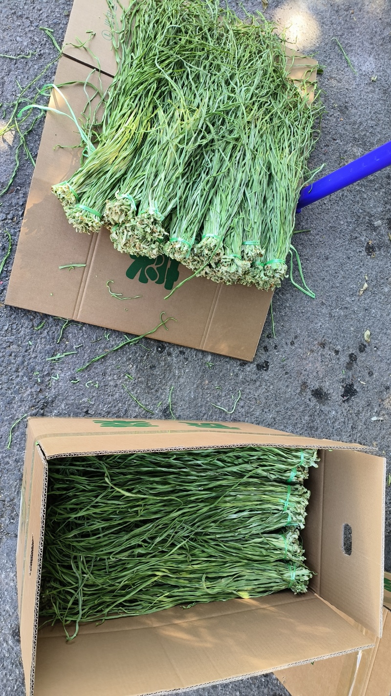 精品贡菜干苔原产地直供云南菜义门菜都有可现场看货视频看货