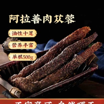 肉苁蓉阿拉善肉苁蓉油性十足营养丰富效果好价格优惠