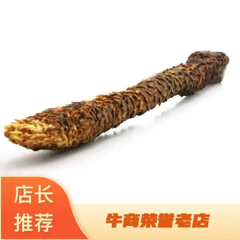 肉苁蓉阿拉善肉苁蓉油性十足营养丰富效果好价格优惠