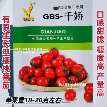 千娇千禧番茄种子圣女果樱桃番茄种子水果西红柿种子甜度高