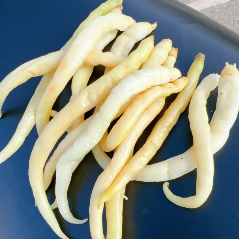 卜辣椒源头产地直供白辣椒扑辣椒精品下饭菜