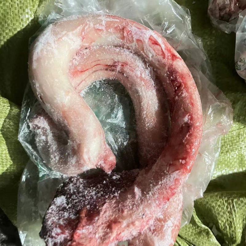 精修牛鞭国产鲜冻大牛鞭纯干一手货源质量保证