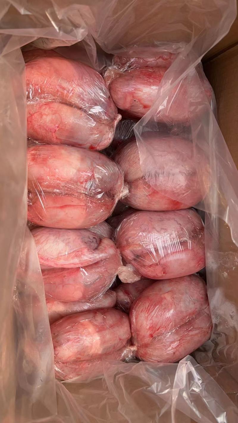 牛宝国产鲜冻大牛宝牛蛋质量稳定，塑料袋包装，两个一包