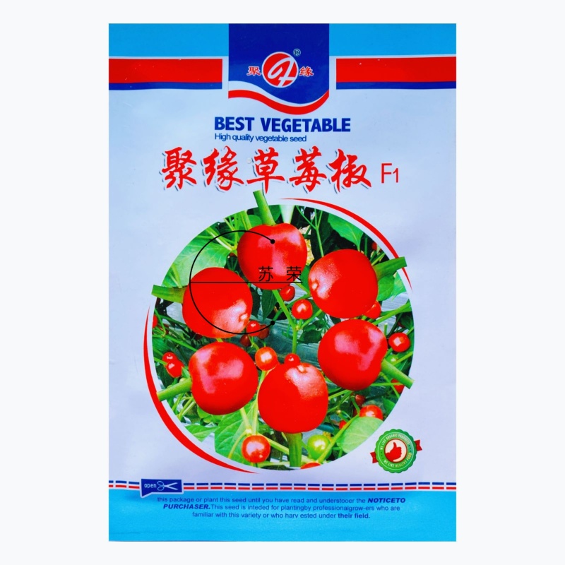 聚缘草莓椒辣椒种子高产抗病适合制干或泡椒菜园蔬菜