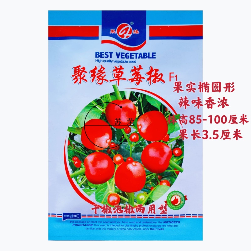 聚缘草莓椒辣椒种子高产抗病适合制干或泡椒菜园蔬菜