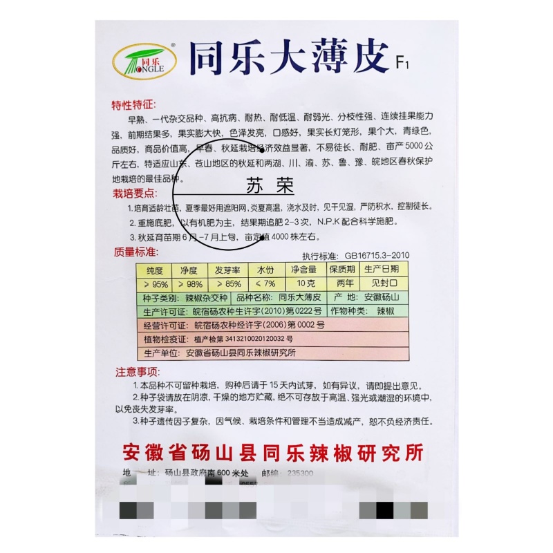 同乐大薄皮辣椒种子早熟高抗病耐热耐低温青绿色春秋高产