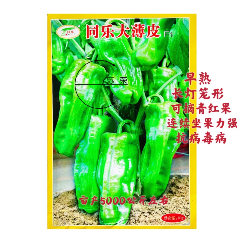 同乐大薄皮辣椒种子早熟高抗病耐热耐低温青绿色春秋高产