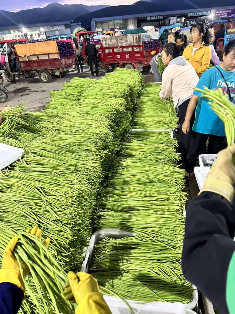 广东青条豆角，新品上市，大量供应。货源充足，欢迎咨询。