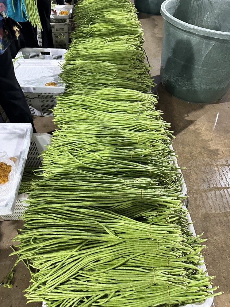 广东青条豆角，新品上市，大量供应。货源充足，欢迎咨询。