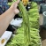 广东青条豆角，新品上市，大量供应。货源充足，欢迎咨询。