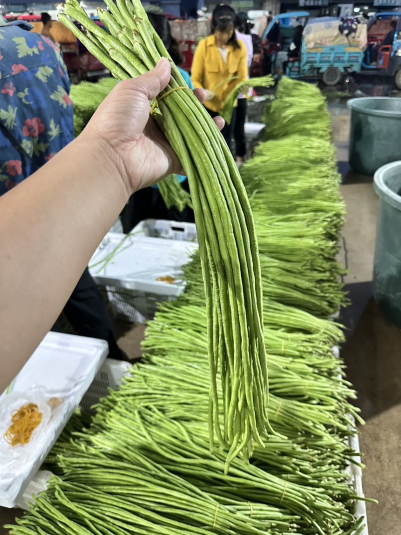 广东青条豆角，新品上市，大量供应。货源充足，欢迎咨询。
