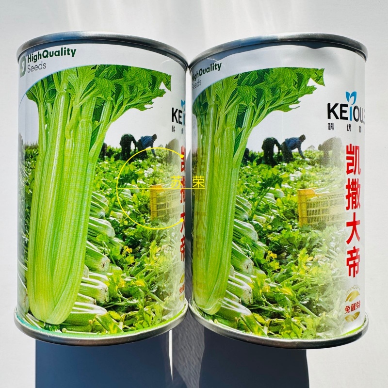 免催芽西芹种子凯撒大帝芹菜种子叶柄亮绿有光泽纤维少高产