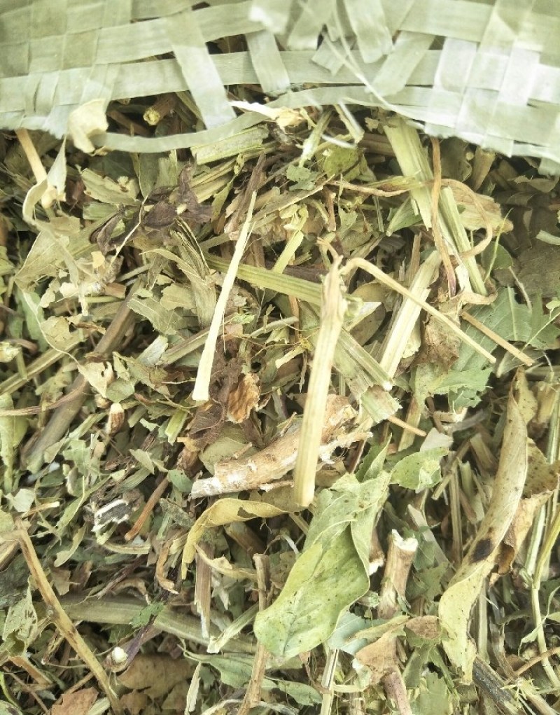 河南花生秧，优质花生秧产地直发，保质保量，无土，无膜