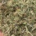 河南花生秧，优质花生秧产地直发，保质保量，无土，无膜