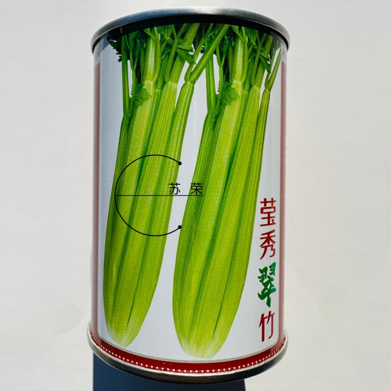 璐通莹秀翠竹芹菜种子引进法国西芹品种根部小生长快四季西芹