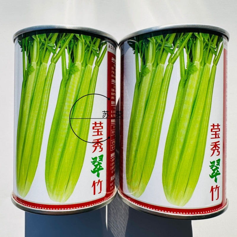 璐通莹秀翠竹芹菜种子引进法国西芹品种根部小生长快四季西芹